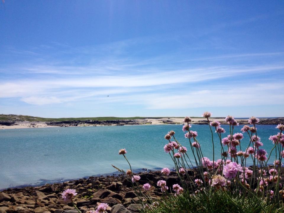 Hôtel Dolphin Beach House à Clifden Extérieur photo