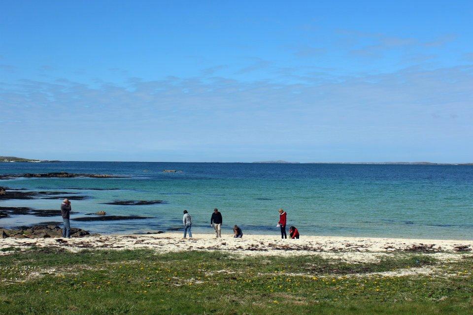 Hôtel Dolphin Beach House à Clifden Extérieur photo